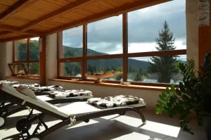 Suite premium avec décoration contemporaine